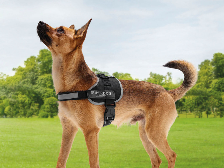 Gehe zu Vollbildansicht: zoofari® Hundegeschirr, mit fluoreszierenden Klettsticker - Bild 5