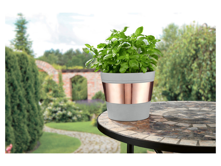 Eine Pflanze in einem grauen Topf mit kupferfarbenem Rand auf einem Tisch in einem Garten.