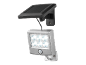 Silberne LED-Solarleuchte mit Bewegungssensor