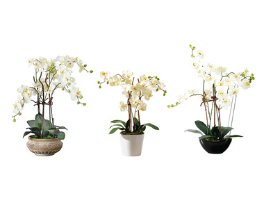 Pureday Kunstpflanze »Orchideentopf«, täuschend echt