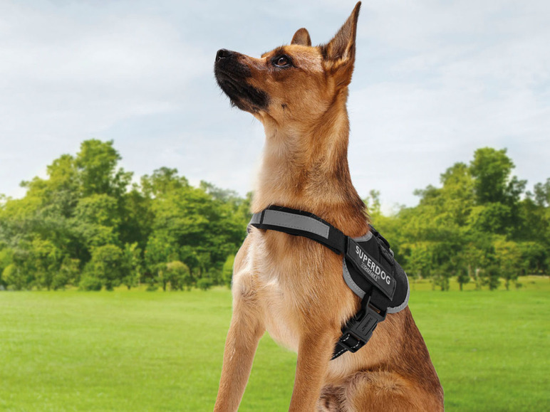 Gehe zu Vollbildansicht: zoofari® Hundegeschirr, mit fluoreszierenden Klettsticker - Bild 17