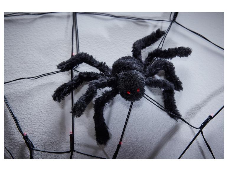 Eine schwarze, flauschige Spinne mit roten Augen auf einem beleuchteten Spinnennetz.