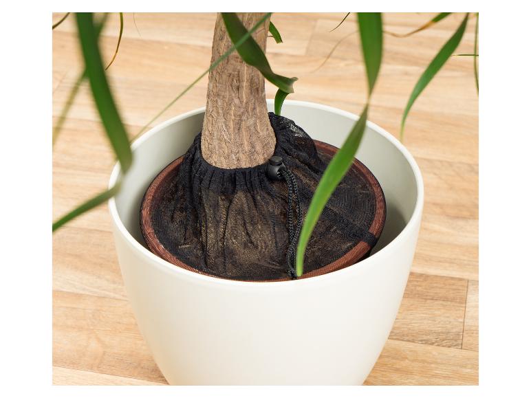 Ein Pflanzentopf mit einem schwarzen Netzsack.