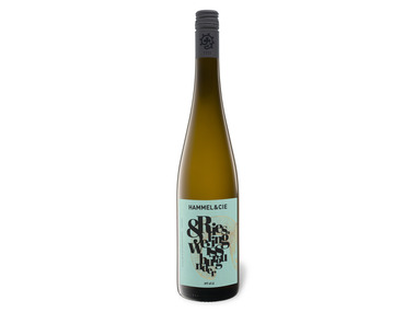 Hammel & Cie Riesling & Weißburgunder Pfalz QbA trocken, Weißwein 2024