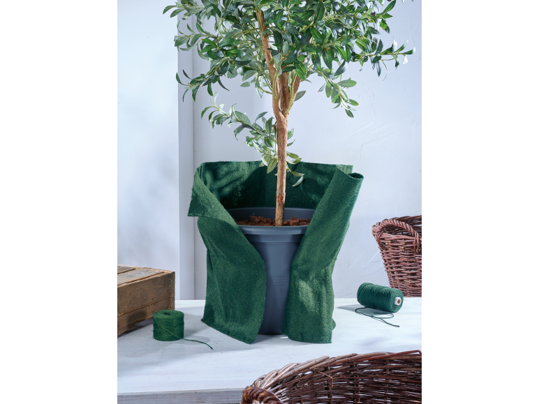 Olivenbaum im Topf, umwickelt mit grünem Stoff, mit Schnur und Körben auf einem weißen Tisch.