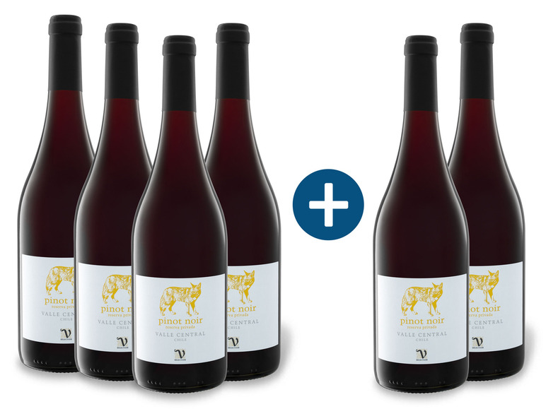 Gehe zu Vollbildansicht: 4 + 2 Weinpaket VIAJERO Pinot Noir Reserva Privada Chile trocken, Rotwein - Bild 1