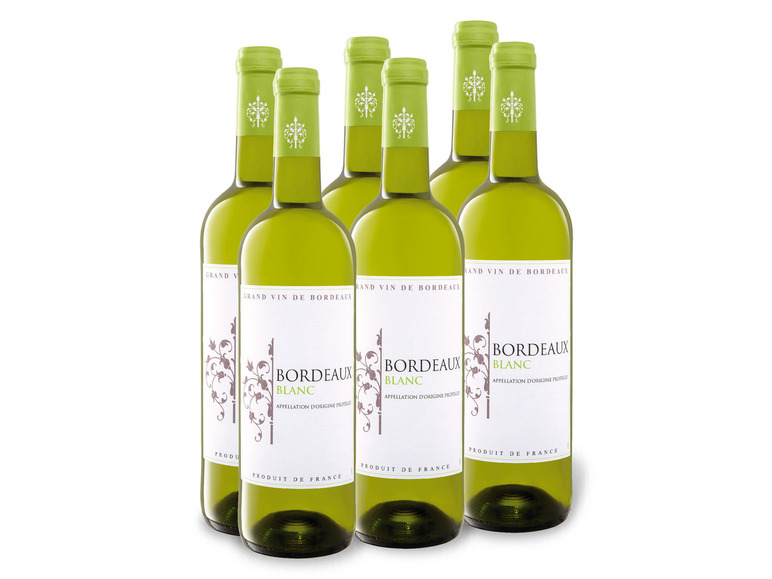 Gehe zu Vollbildansicht: 6 x 0,75-l-Flasche Weinpaket Bordeaux Blanc AOP trocken, Weißwein - Bild 1