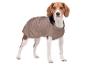 Beagle-Hund in einer braunen Hundejacke, stehend und geradeaus blickend.