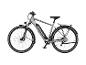 Graues Trekking-E-Bike mit Gepäckträger und Schutzblechen.