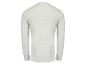 Herren-Langarmshirt in Hellgrau, Rückansicht