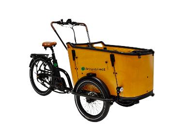 ALPHA MOTORS Elektrolastenfahrrad Family-Cargo 250 W