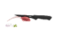 Fleischmesser mit Lammkarree, Zwiebel und Kräutern auf schwarzem Hintergrund.