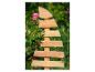 Wegweiser aus Holz mit rosa Rosen im Hintergrund.