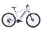 Hellgraues E-Mountainbike mit schwarzen CST Patrol Reifen.