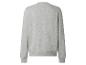 Graues Langarm-Sweatshirt mit Rundhalsausschnitt, Rückansicht