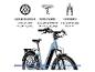 E-Bike mit Scheibenbremsen, Komfortsattel und Federgabel.