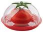 Rote Tomate in einer durchsichtigen Aufbewahrungsbox mit Deckel.
