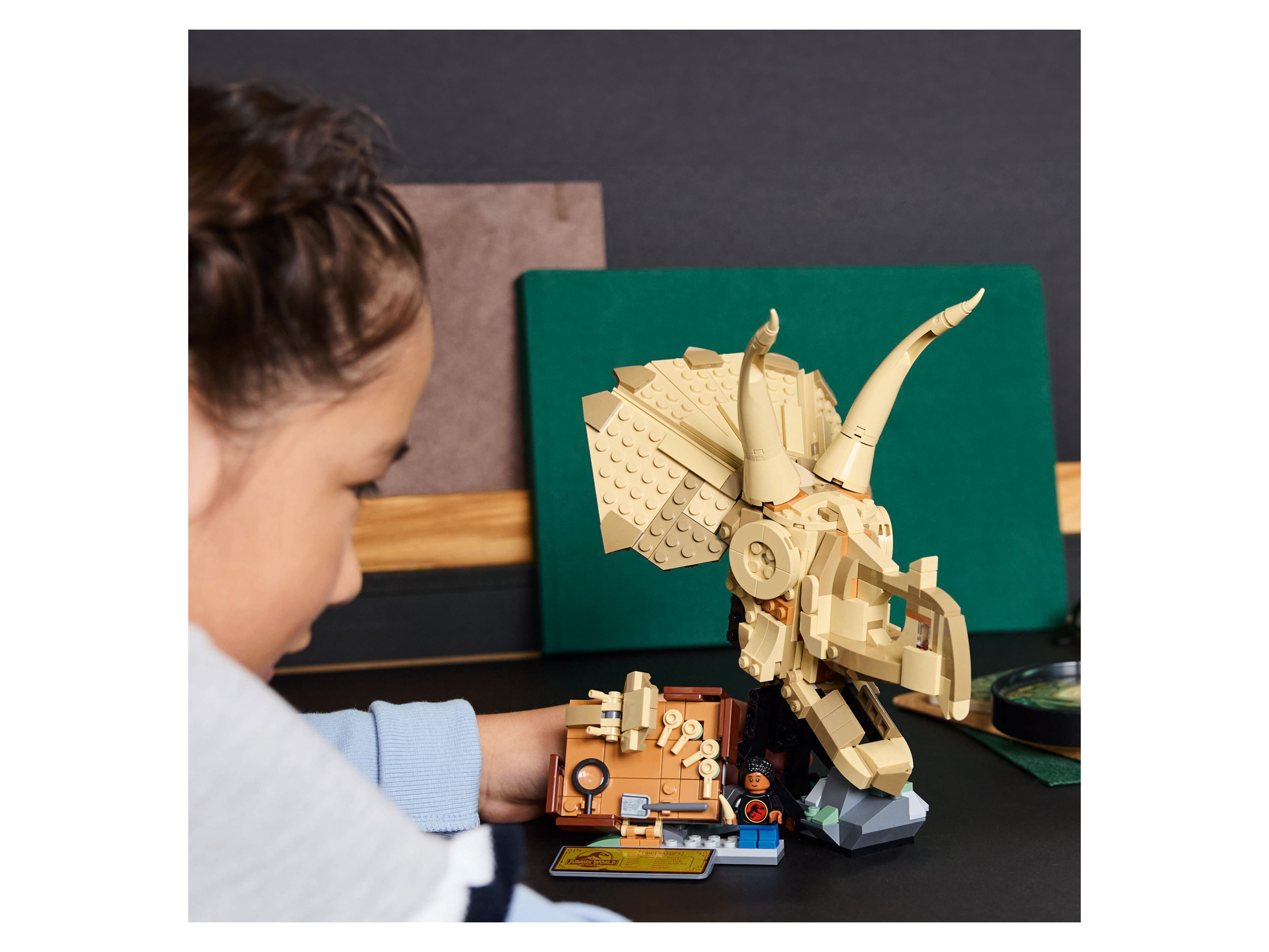 Lego Jurassic World Dinosaurfossiler: triceratops-hodeskalle 76969 4