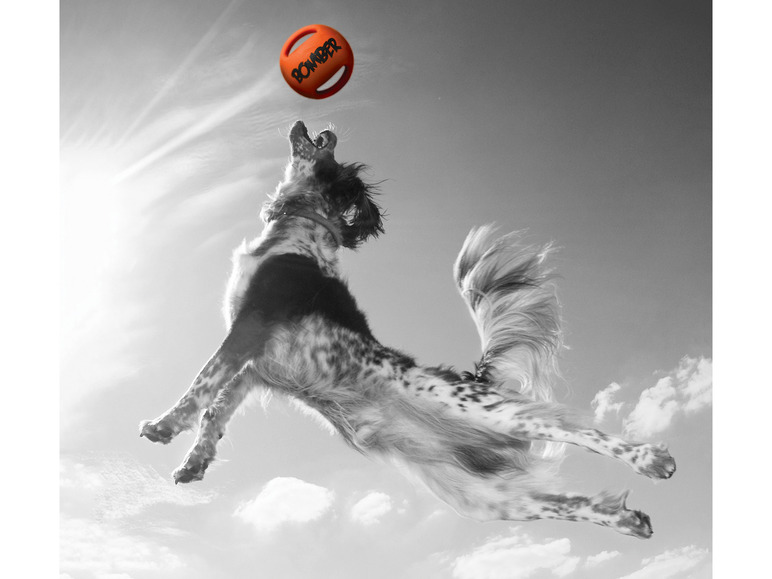 Gehe zu Vollbildansicht: Zeus Hundespielzeug »Bomber«, aus softem Durafoam - Bild 4
