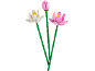 Spielzeug-Lotusblumen, eine weiße und zwei rosa, mit grünen Stielen.