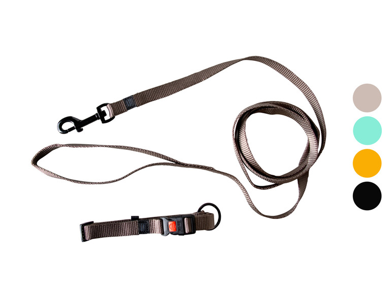 Ein braunes Hundehalsband und eine Leine mit einem schwarzen Karabinerhaken.