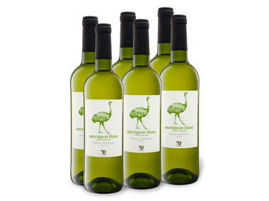 6 x 0,75-l-Flasche Cimarosa Sauvignon Blanc Reserva Privada Chile, Weißwein