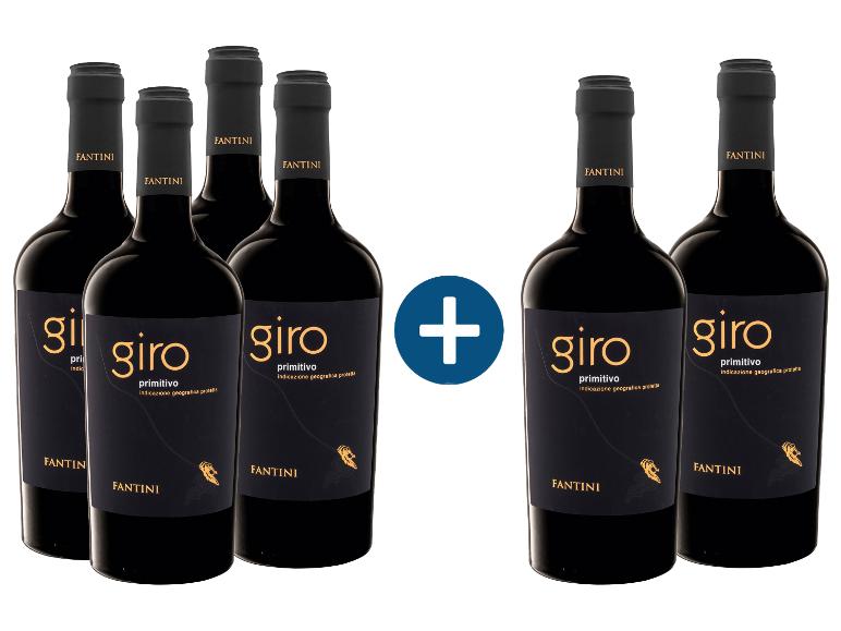 4+2 Weinpaket FANTINI Giro Primitivo Puglia IGP trockener veganer Rotwein.