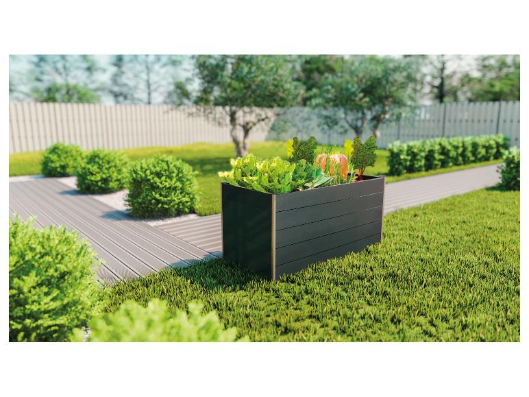 Ein schwarzes Hochbeet mit verschiedenen Pflanzen, darunter Salat, in einem sonnigen Garten.