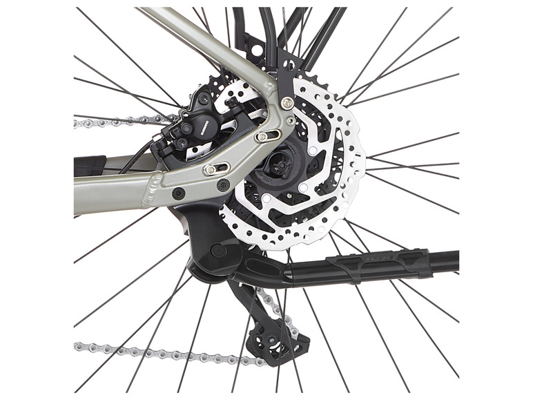 Hinterrad eines Fahrrads mit Scheibenbremse, Schaltwerk und Kette.