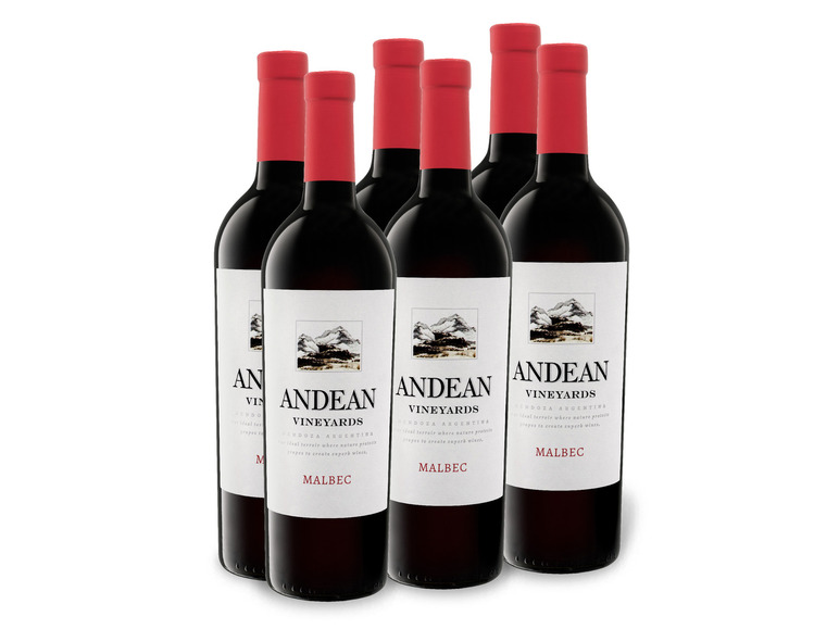 Gehe zu Vollbildansicht: 6 x 0,75-l-Flasche Weinpaket Andean Vineyards Malbec Argentinien trocken, Rotwein - Bild 1