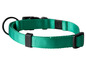 Ein grünes Hundehalsband mit schwarzer Schnalle.