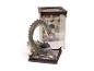 The Noble Collection Harry Potter Basilisk magische Kreatur Figur mit Vitrine
