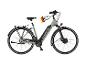 Grünes E-Bike mit einem 'DESIGNED IN GERMANY' Aufkleber am Lenker.