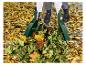 Zwei grüne Laubsammler sammeln Herbstlaub und Gartenabfälle.