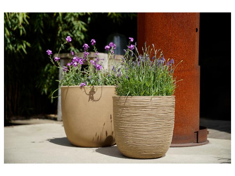 Zwei Pflanzgefäße mit Lavendel und lila Blumen auf einer Terrasse.