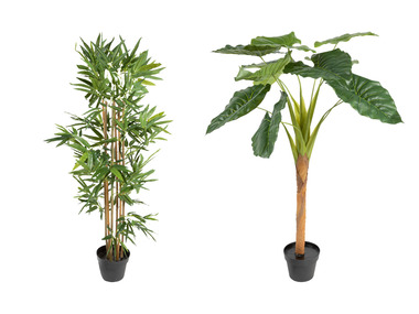 LIVARNO home Kunstpflanze Bambus / Monstera