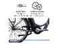 E-Bike-Details: Shimano Nexus Nabenschaltung und leicht zu bedienender Drehgriff.