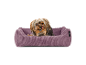 Yorkshire Terrier in einem mauvefarbenen Cord-Hundebett.