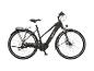 Schwarzes Elektro-Citybike mit Federgabel, Scheibenbremsen und Gepäckträger.