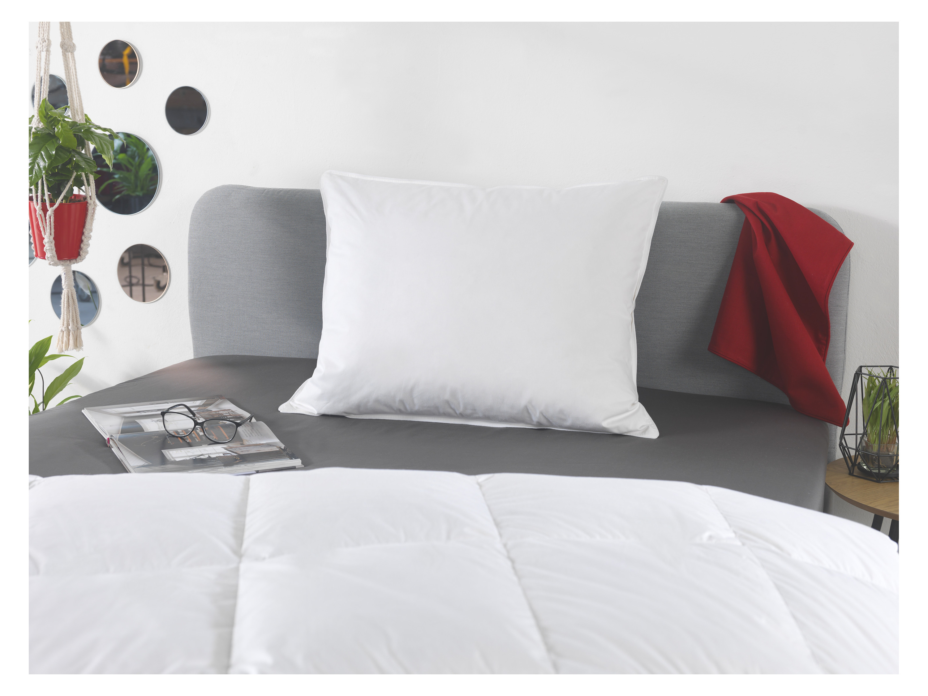 Thumbnail - HÄUSSLING Premium Kopfkissen mit Federn & Daunen (80 x 80 cm)