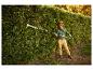 Frau mit Schutzhelm schneidet Hecke mit langer Heckenschere.