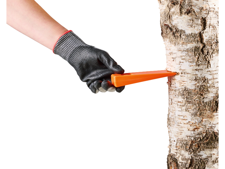 Hand im Arbeitshandschuh steckt einen orangefarbenen Fällkeil in einen Birkenstamm.