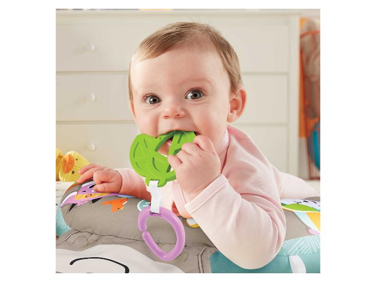 Fisher-Price Faultierspielkissen mit Vibration