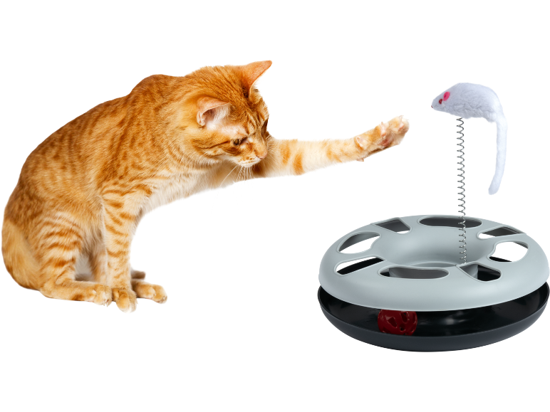 Katze spielt mit interaktivem Haustierspielzeug mit Maus an einer Feder.