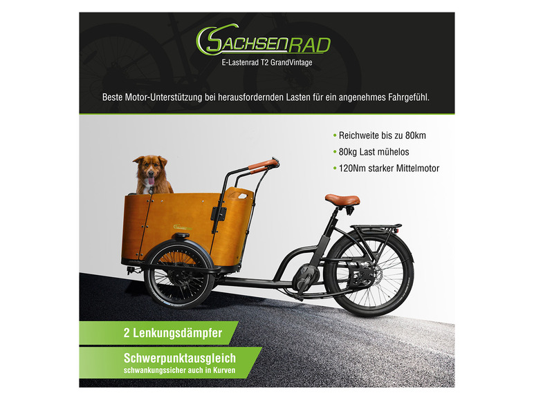 Gehe zu Vollbildansicht: SachsenRad E-Bike Lastenrad T2 GrandVintage - Bild 10