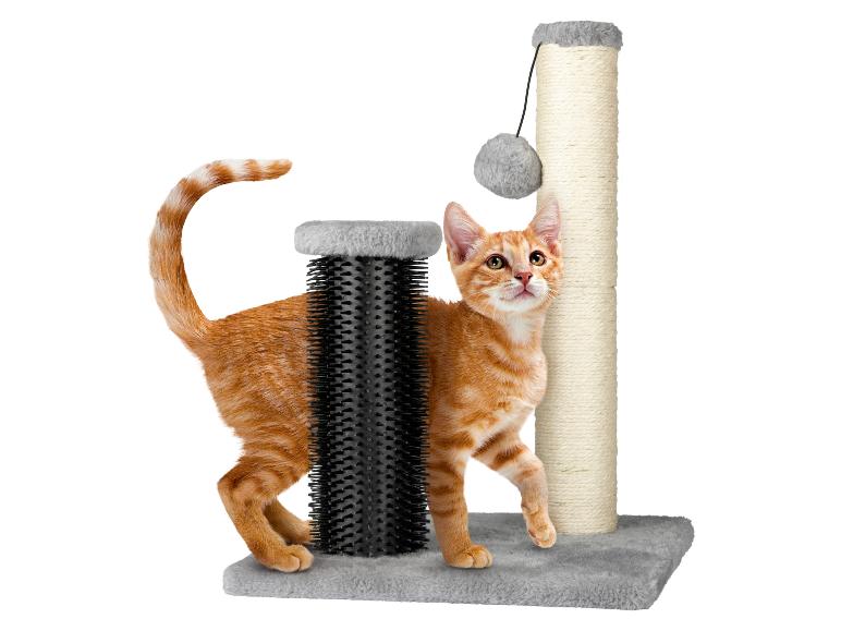 ZOOFARI Katzen Kratzstamm | Lidl