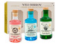 Ein Geschenkeset mit Wild Burrow Gin: Raspberry & Thyme Pink Gin, Irish Gin und London Dry Gin.