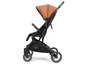 Ein schwarzer Bugaboo Buggy mit braunem Verdeck.