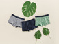 Drei Paar Boxershorts in Grau, Dunkelblau und Hellgrün, umgeben von Kunstpflanzen.