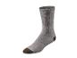 Graue Socke mit brauner Spitze und Ferse auf weißem Hintergrund.